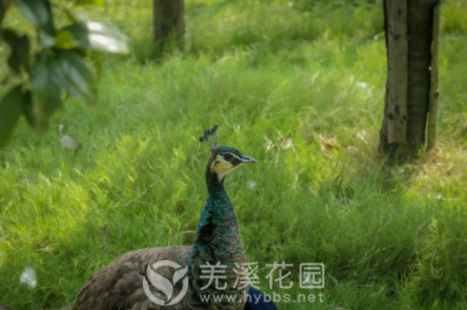 1621486412(1).png