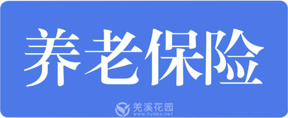 养老保险.png