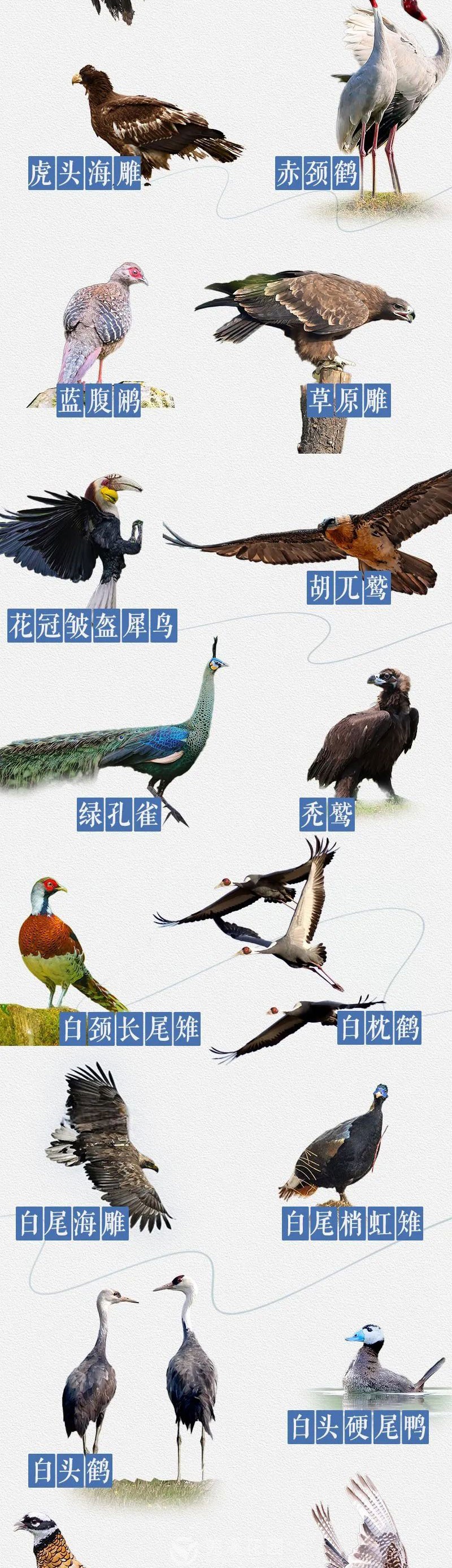 微信图片_20250907105649_02.jpg