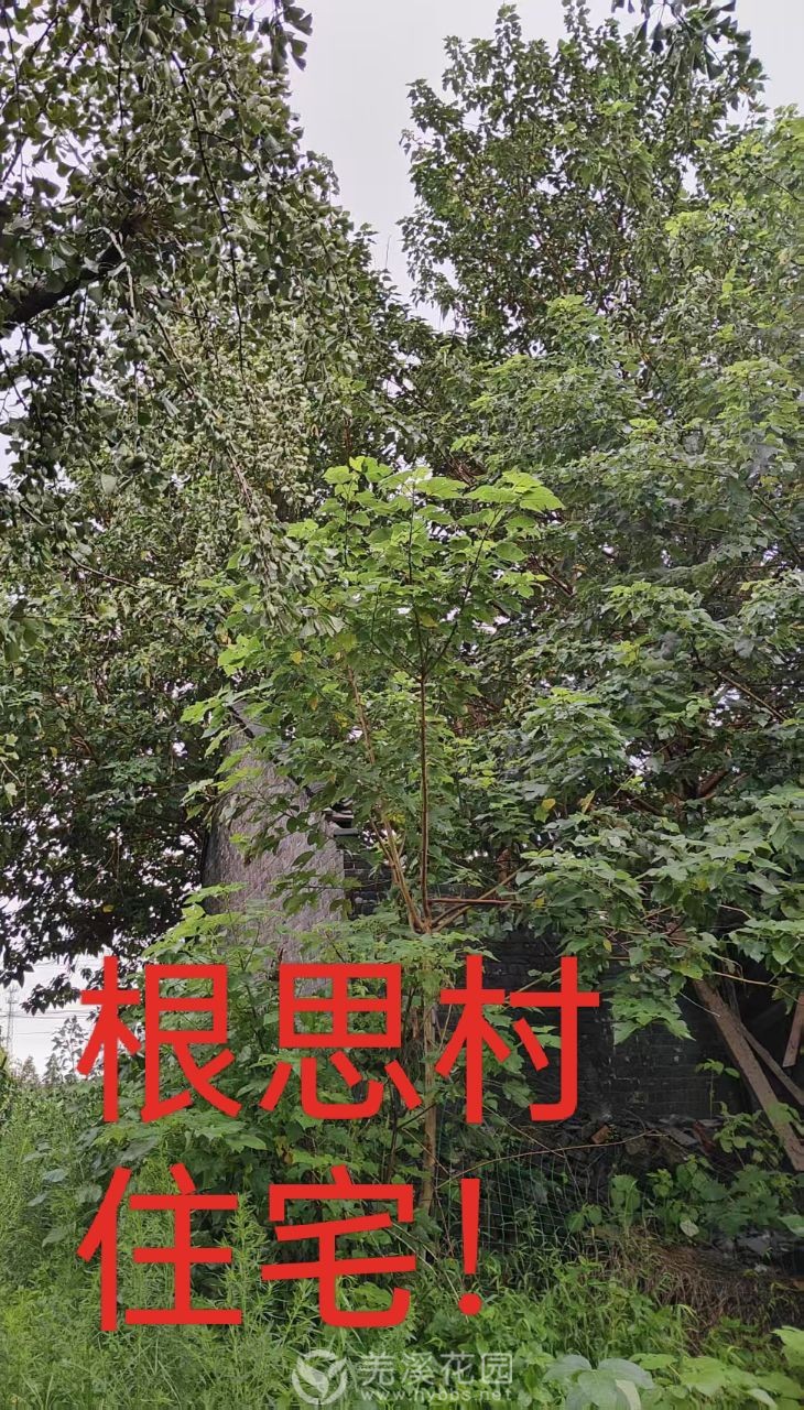 20250912230752front2_0_250518_Fk__Q7hADYtWbzU5akFfDqcS9aoC.jpg