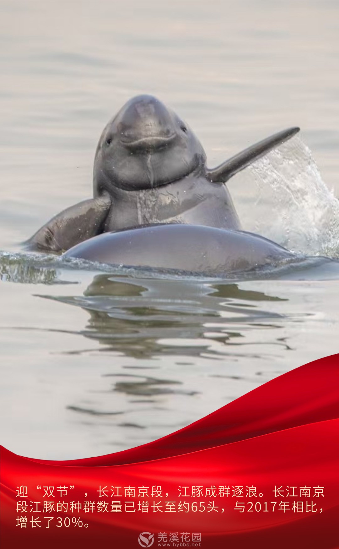 微信图片_20251011182827 拷贝.jpg