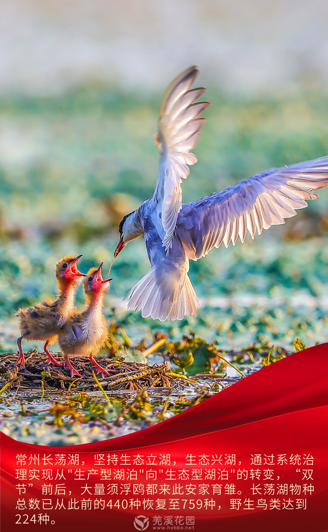 微信图片_20251011182841 拷贝.jpg