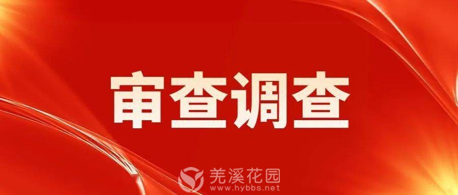 审查调查.jpeg